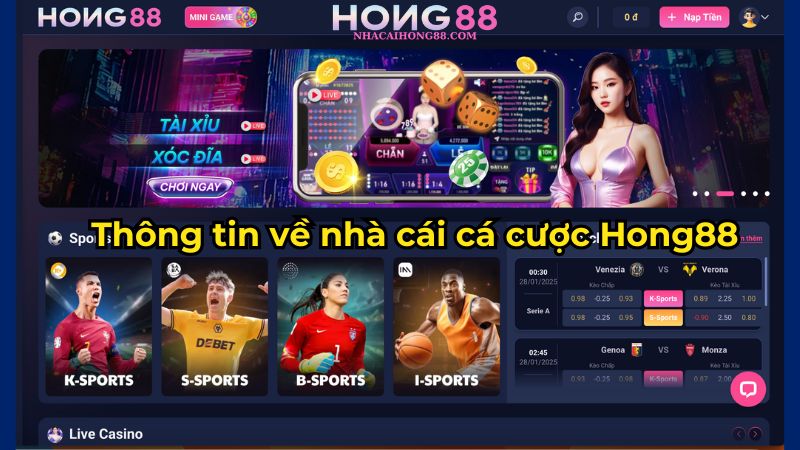 Thông tin về nhà cái cá cược Hong88 Thông tin về nhà cái cá cược Hong88
